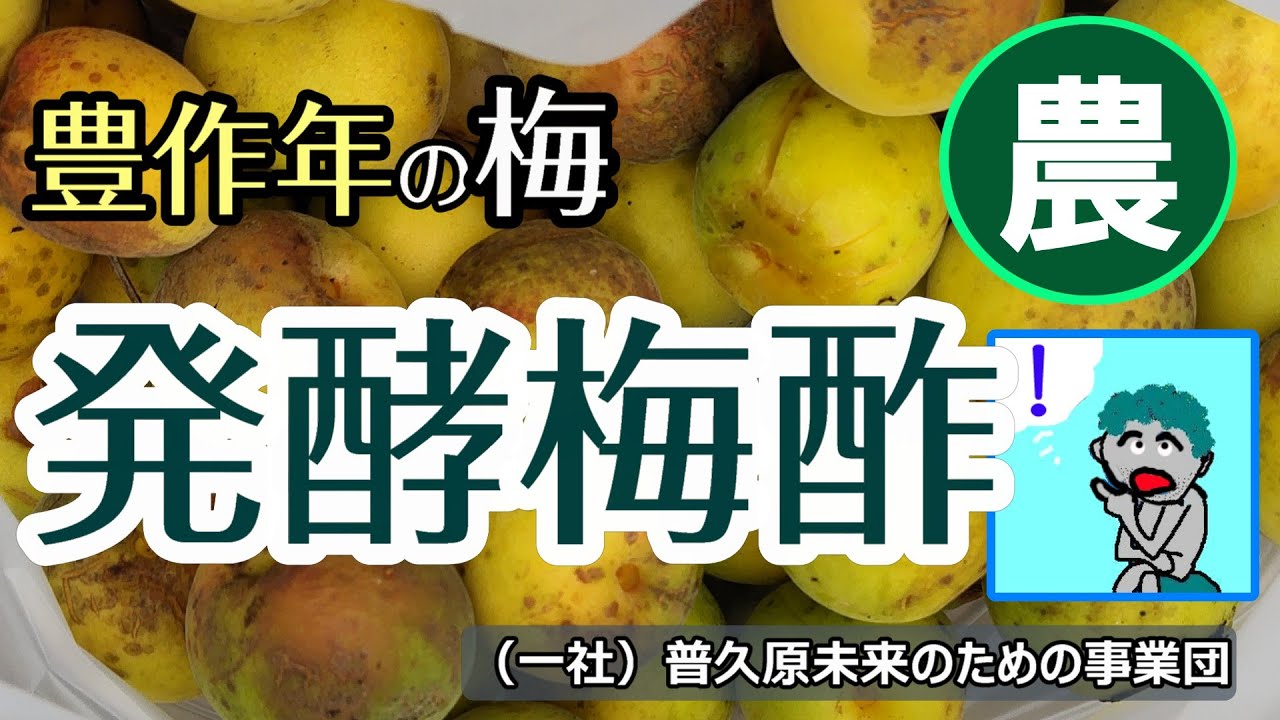 「発酵梅酢の造り方」Ofa農業記