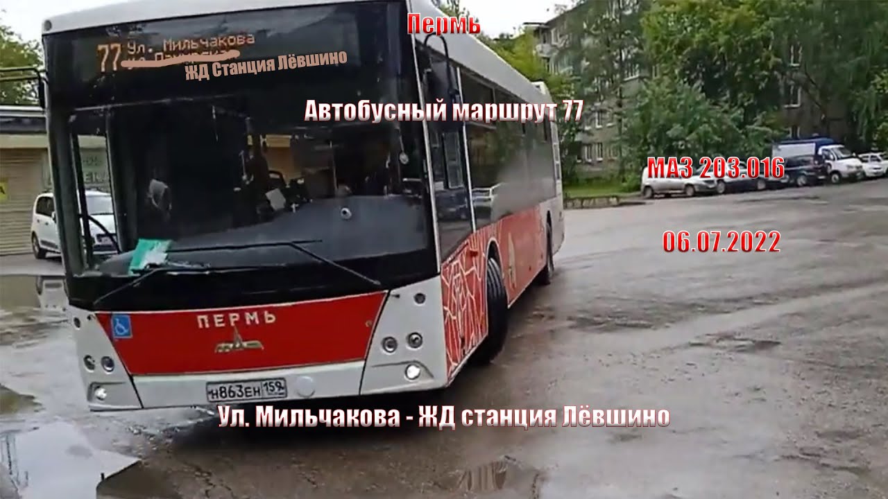 Пермь | Автобусный маршрут 77 | МАЗ 203.016 | Ул. Мильчакова - ЖД станция Лёвшино | 06.07.2022
