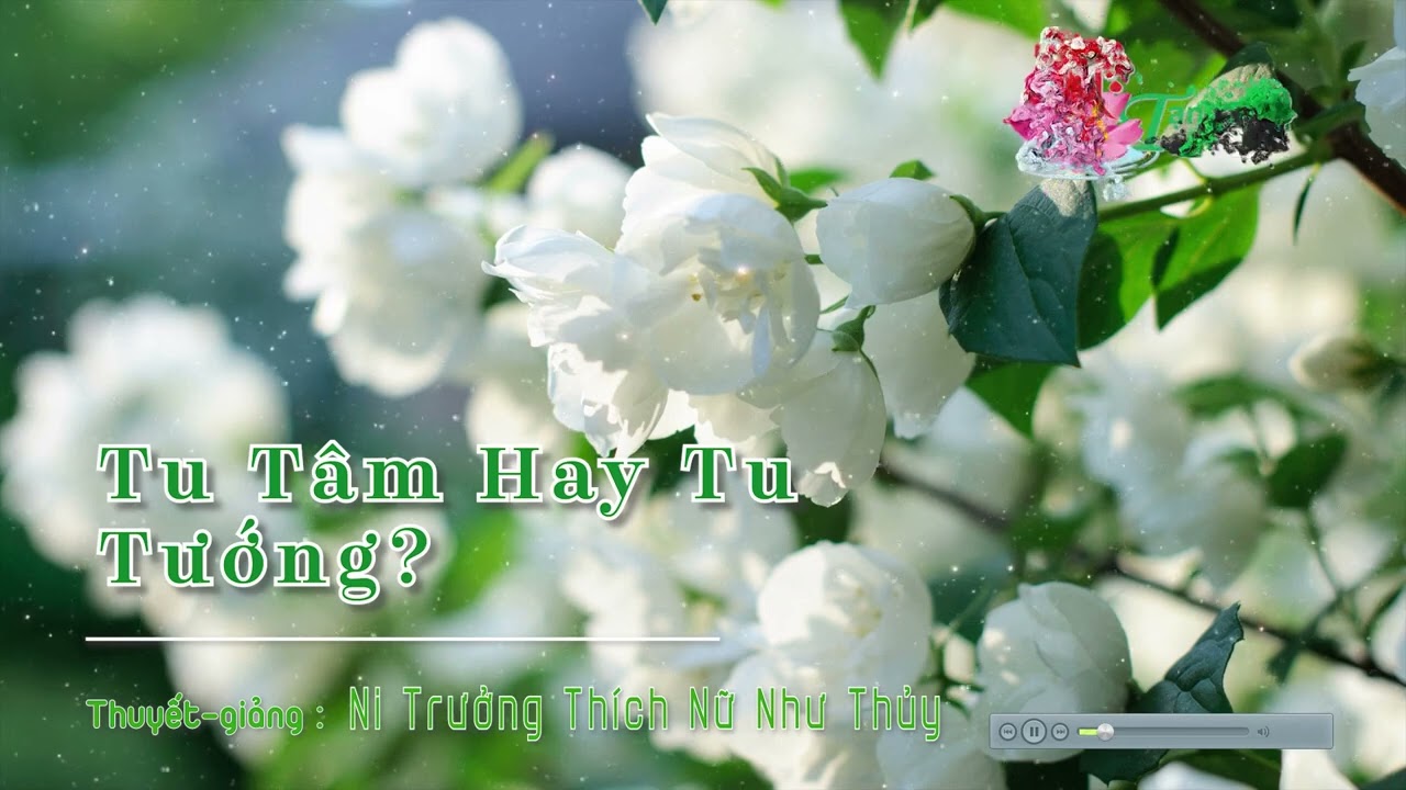 Tu Tâm Hay Tu Tướng - NT Thích Nữ Như Thủy