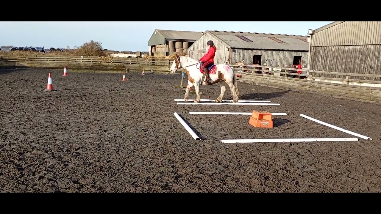 Christine Brookes and Colour Me Fabulous Valentine's Trec Feb 2026