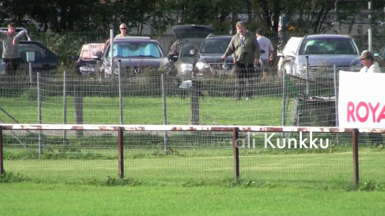 Whippet, Saluki, Basenji and Italian Greyhound racing Kuninkuusjuoksut - Finaalit