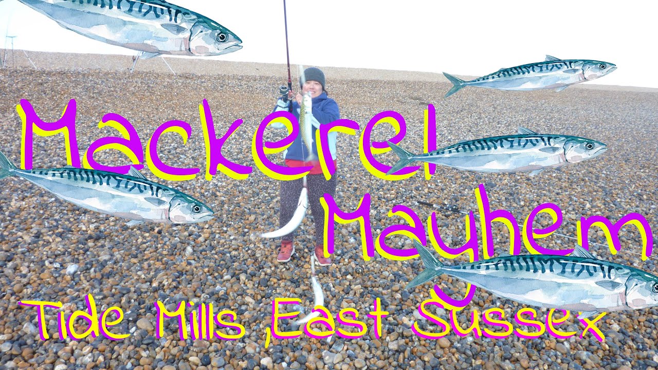 Mackerel Mayhem at Tide Mills, East Sussex, where to go sea fishing, England