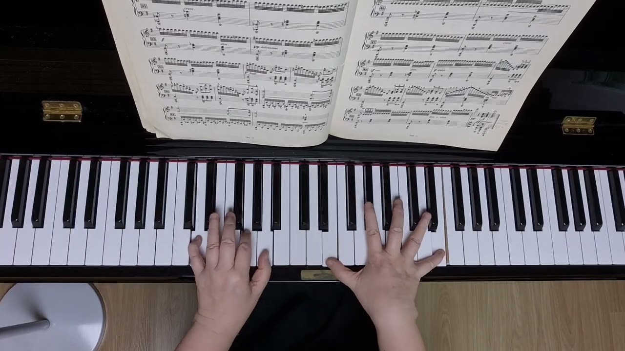Burgmuller 12 Etude Op.105. 6 #연타연습