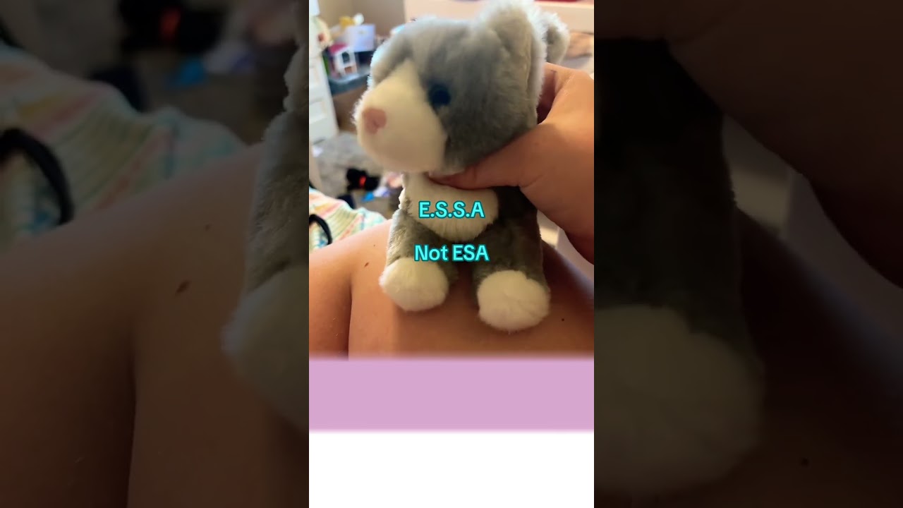 Emotional Support Stuffed Animal! 