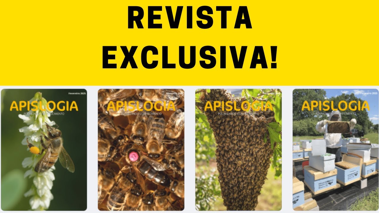 Quer ter SUCESSO na APICULTURA? Então vai querer ler isso…