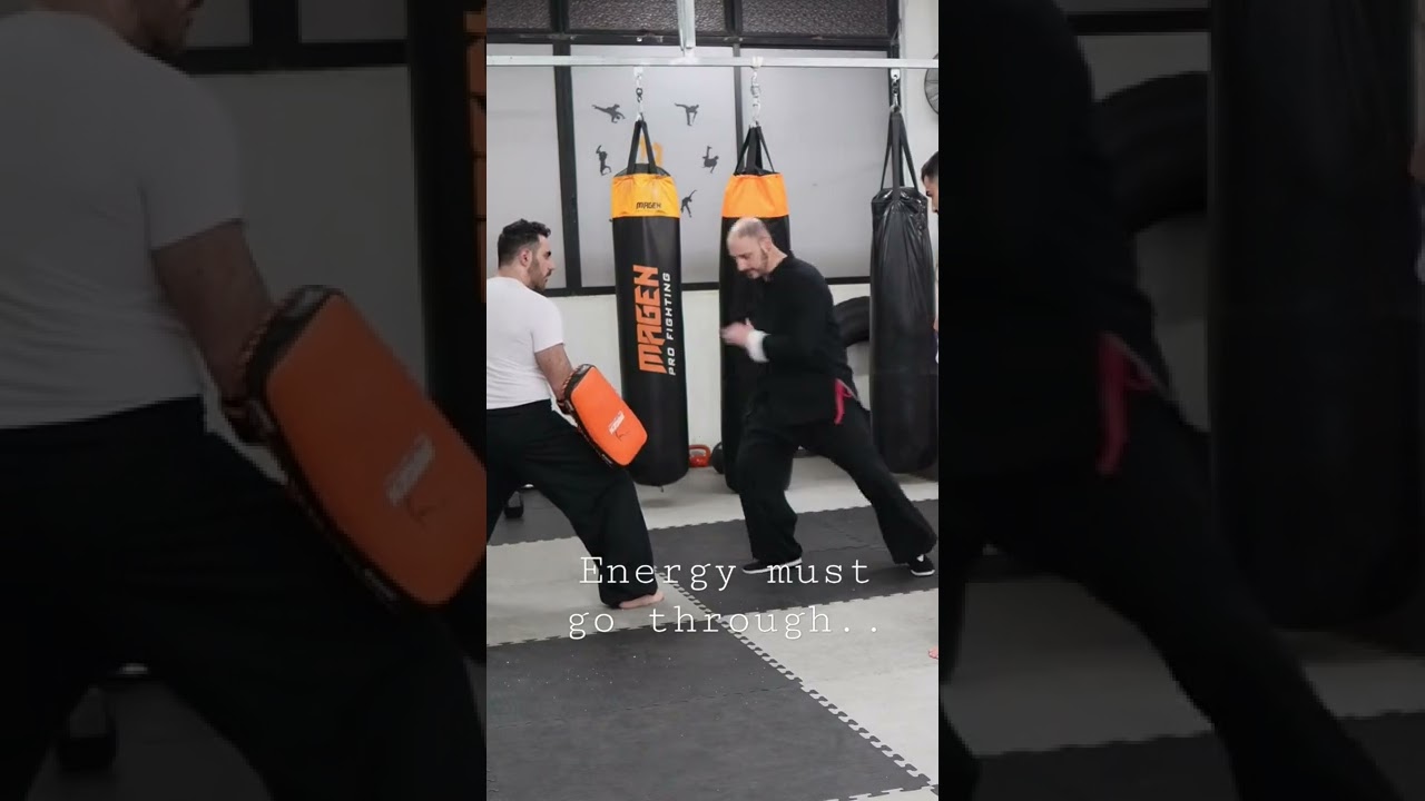 Hung Gar - Low Kick