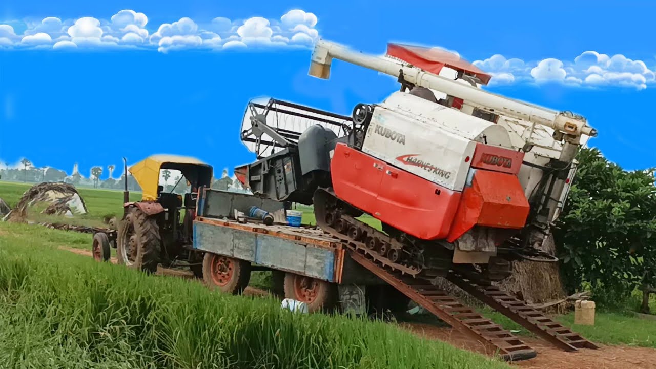 White KUBOTA Harvesking DC68G Rice Harvester Unloading from Trolley video | Agri Tech Machine