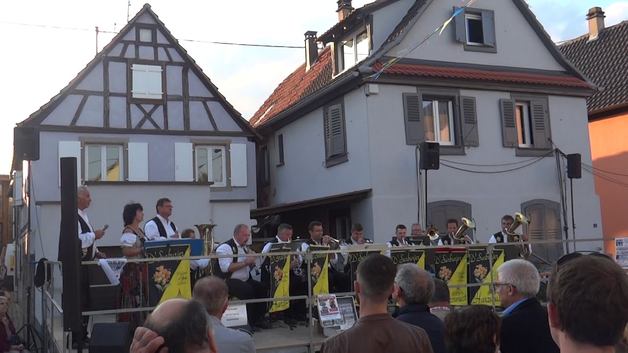 Warum willst du mich nicht küssen      par les Surburjer Harzwuet