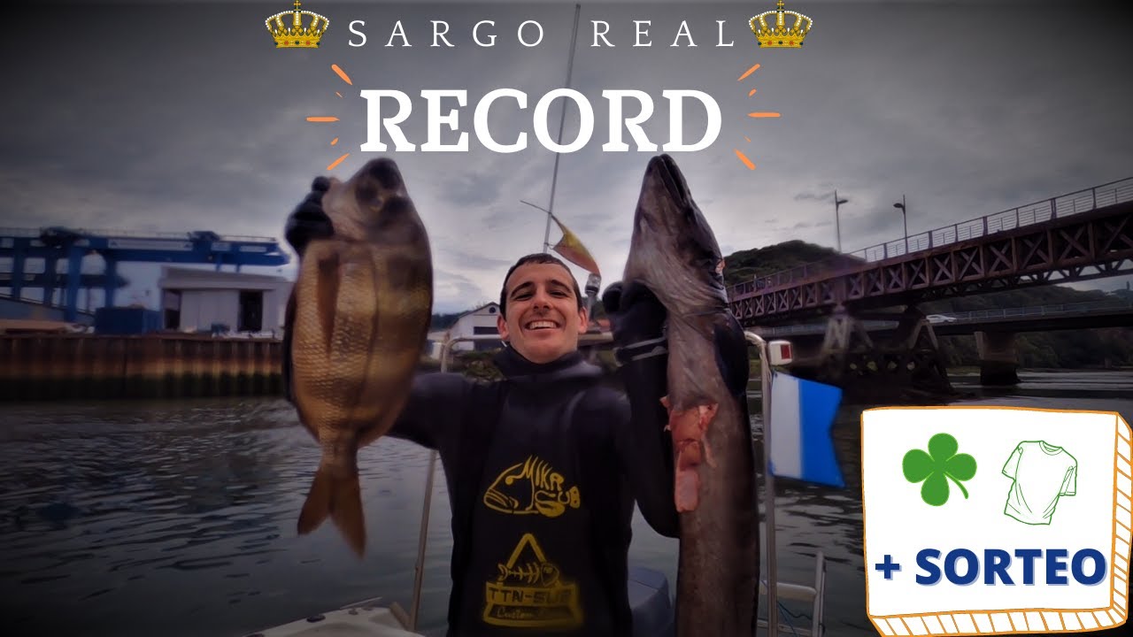 PESCA SUBMARINA [RECORD] Sargo Real de 3.250kg, CONGRIO MUTANTE y Amigos *EL SORTEO CONTIN&Uacute;A*