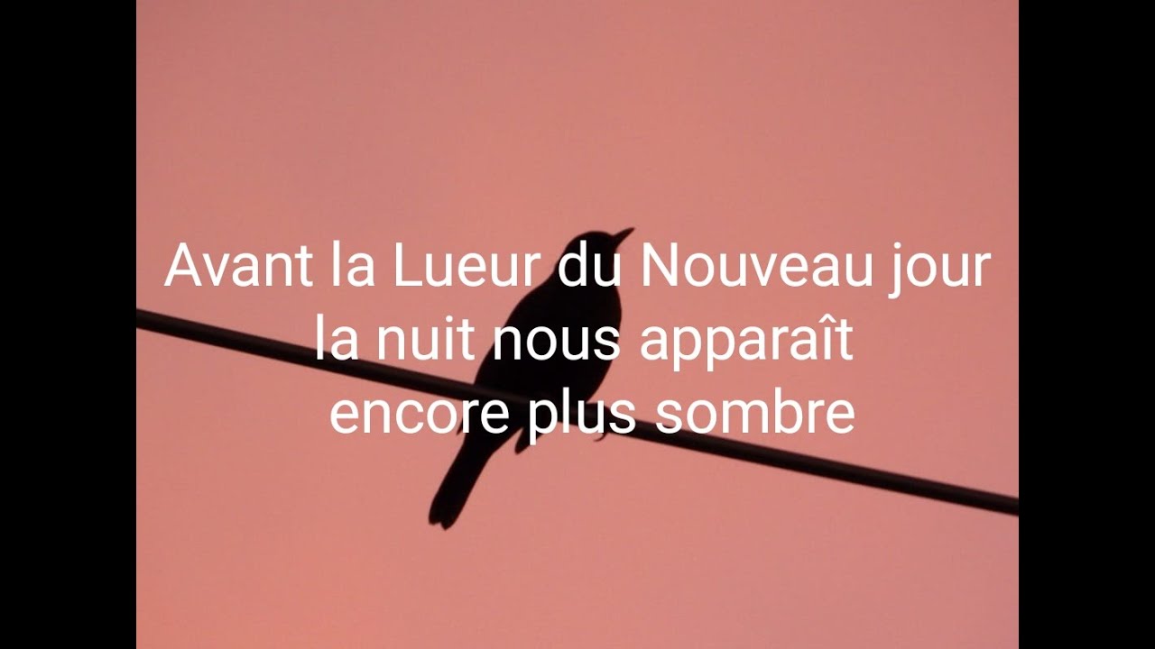 AVANT LA LUEUR DU NOUVEAU JOUR L'OBSCURITE SEMBLE PLUS INTENSE...