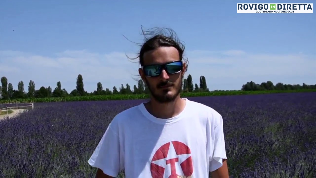 Porto Tolle - Per ammirare i campi di lavanda sono arrivati in 1500