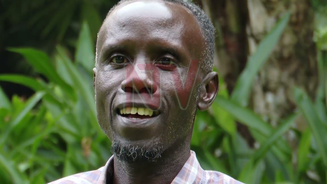 Omusumba eyali omubbi anyumya obulamu bwe bwe bwakyuka