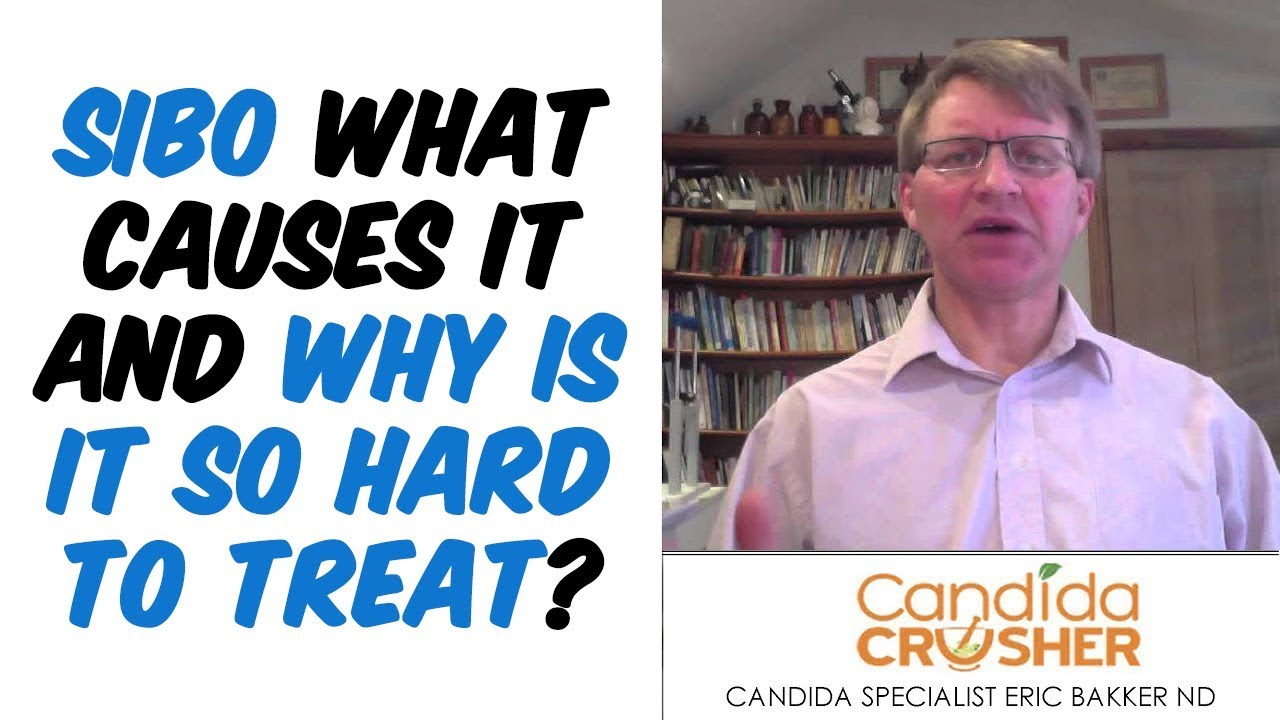SIBO What Causes It And Why IS It So Hard To Treat?