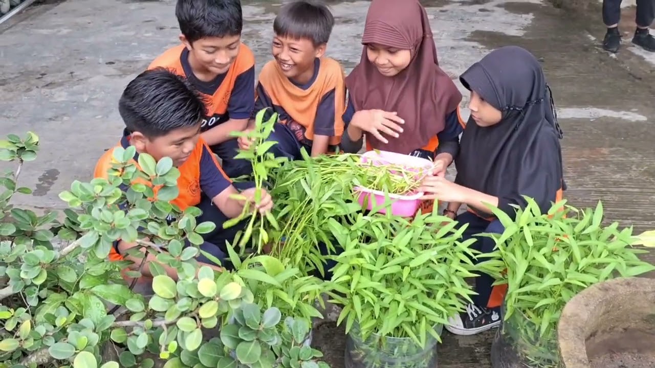 Hasil Panen Kangkung di Sekolah