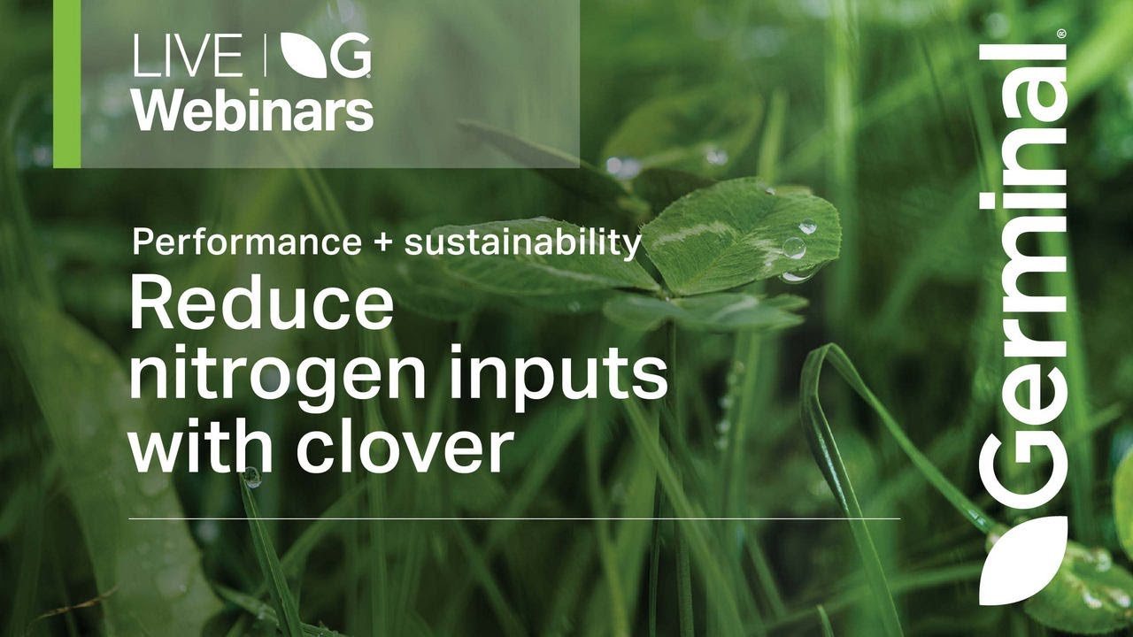 Webinar: Reduce Nitrogen Inputs with Clover