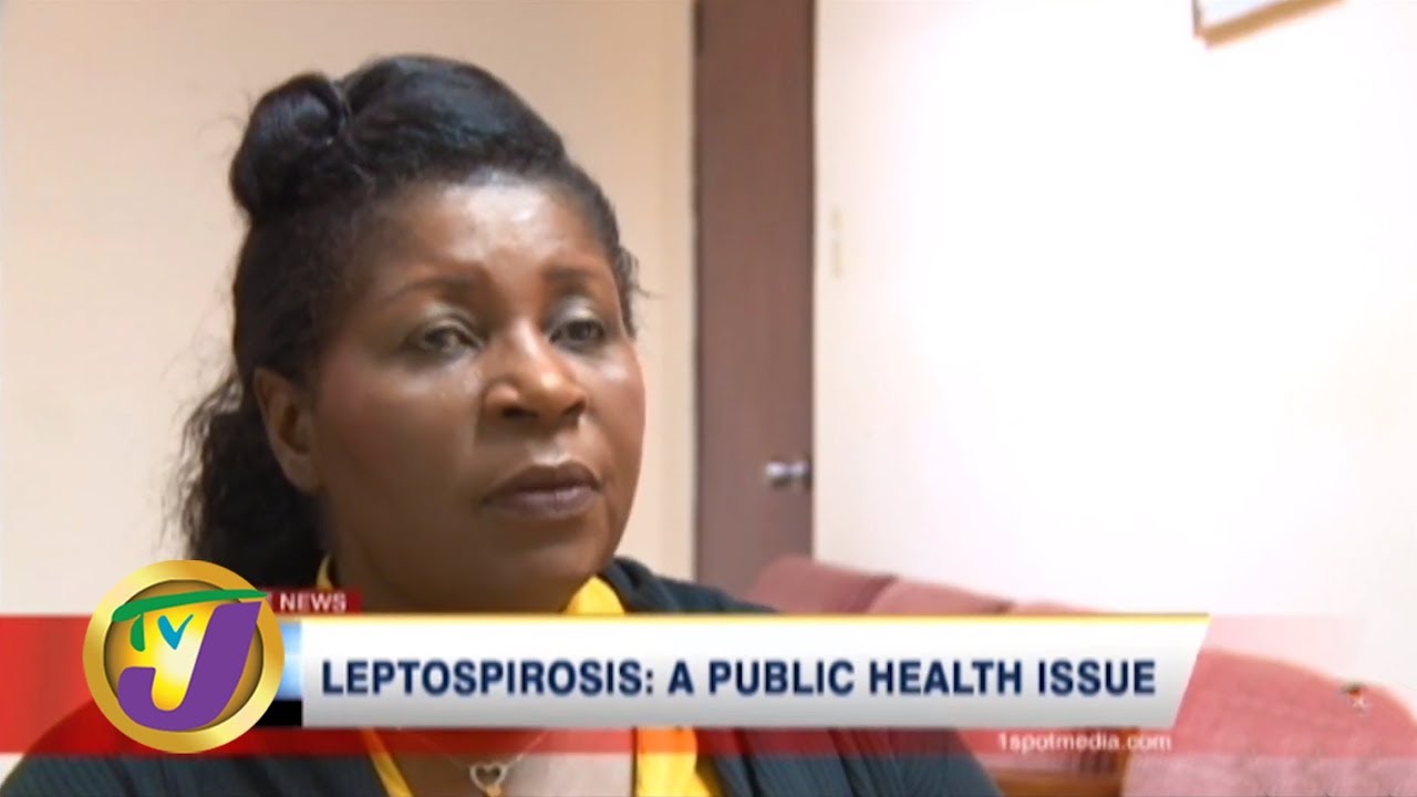 TVJ Health Report | Leptospirosis: A Public Health Issue in Jamaica