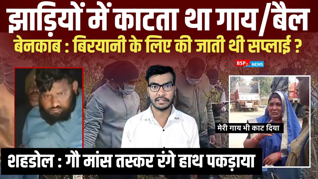 शहडोल : धनपुरी गौ मांस तस्कर रंगे हाथ पकड़ाया ! क्या खुलेंगे बड़े राज ? । Shahdol । Bsp24news 