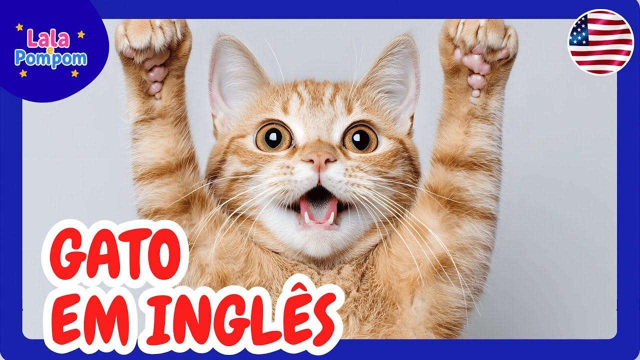 Aprendendo Inglês: GATO (Cat) 🐱 | Lala e Pompom