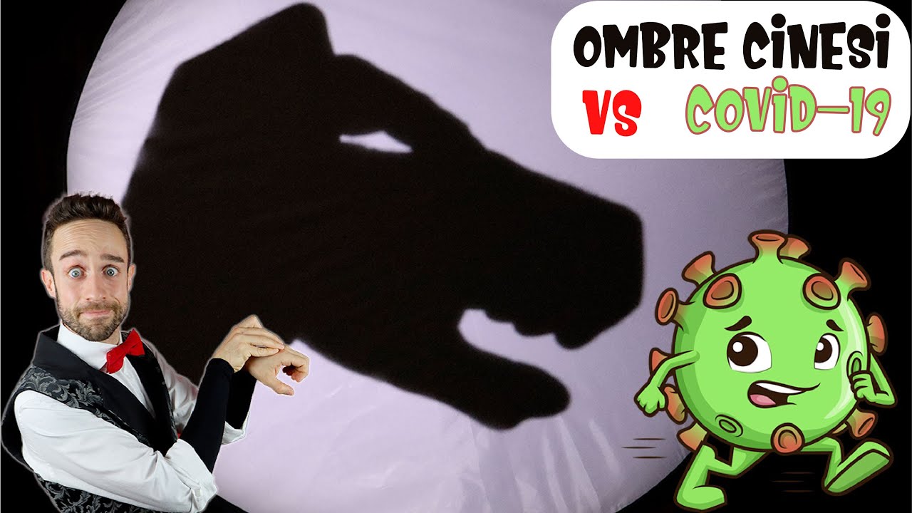 LE OMBRE CINESI DEL MAGO DYLAN CONTRO IL CORONA VIRUS! Shadow puppetry act!