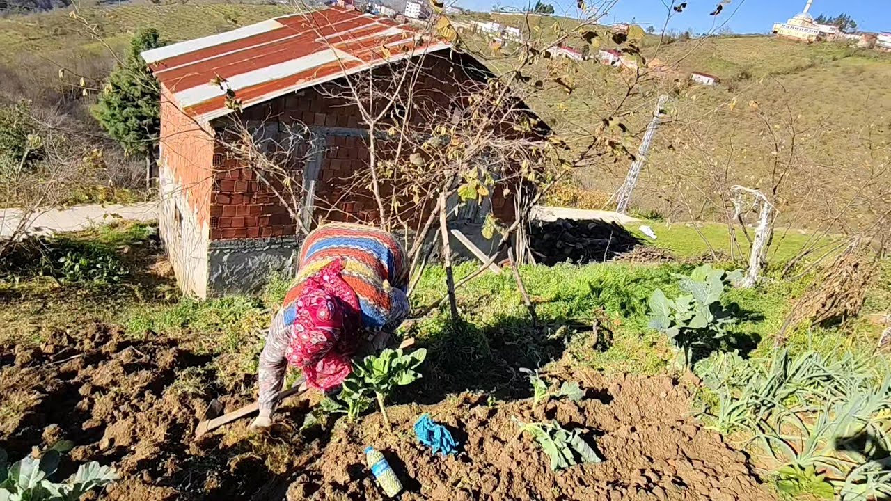 🏡Köyde Bahçe Temizliği ve Bezelye Dikimi 🌱🧹 | Doğal Köy Yaşamı