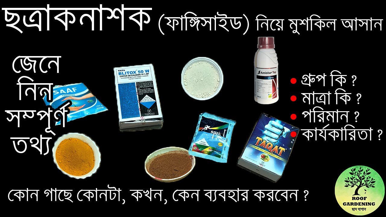 ছত্রাকনাশক ( ফাঙ্গিসাইড ) নিয়ে সম্পূর্ণ তথ্য / All you need to know about fungicide