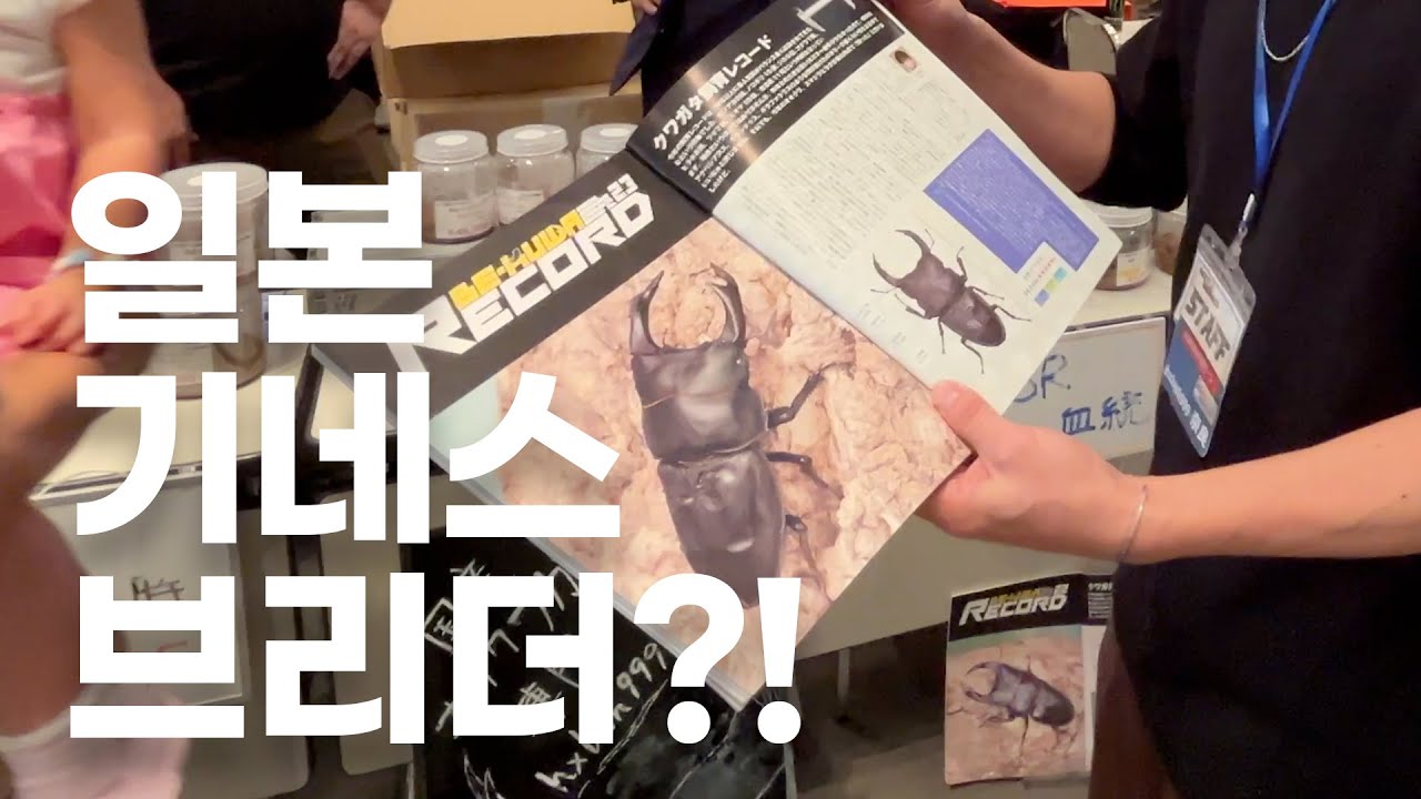 일본 곤충행사 가서 일본 왕사슴벌레 기네스 작출 브리더를 만나고 왔습니다!ㅋㅋ