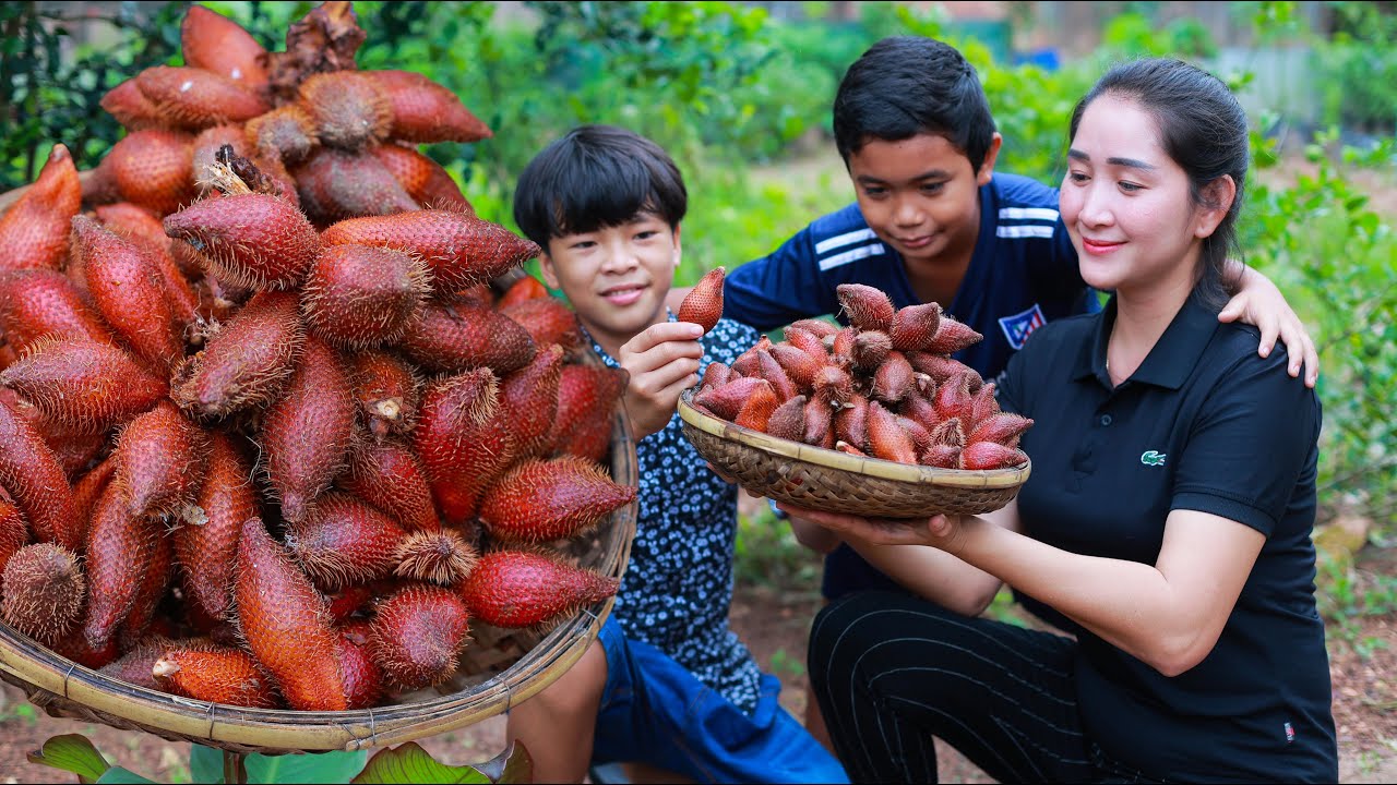 Bring Salak fruit home for my two brothers | Salak fruit in my homeland | Food in rainy day.