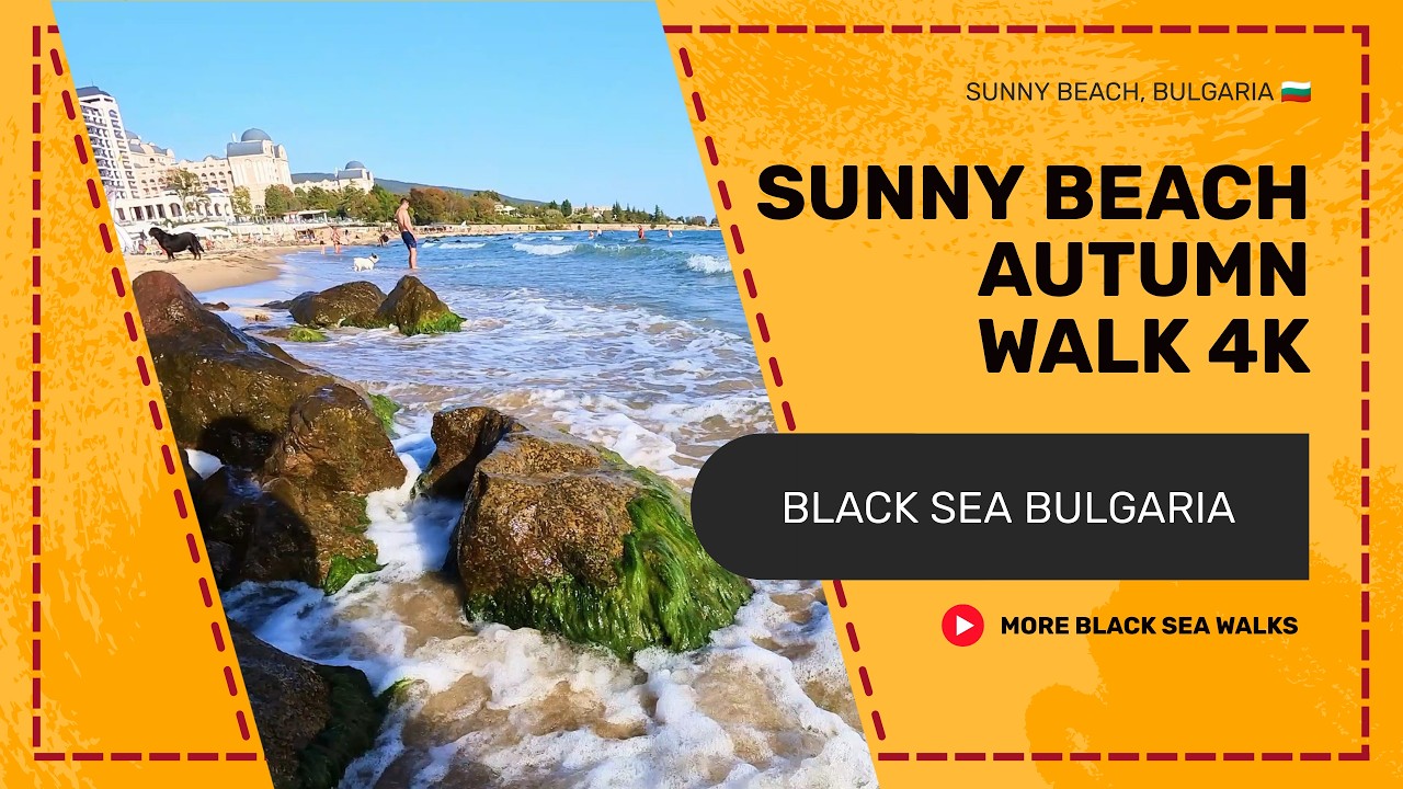 Autumn Walk on Sunny Beach | Quiet Black Sea Shore in 4K