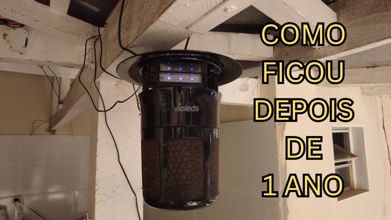 VIOLEDS COMO FICOU A ARMADILHA DE MOSCAS DEPOIS DE 1 ANO
