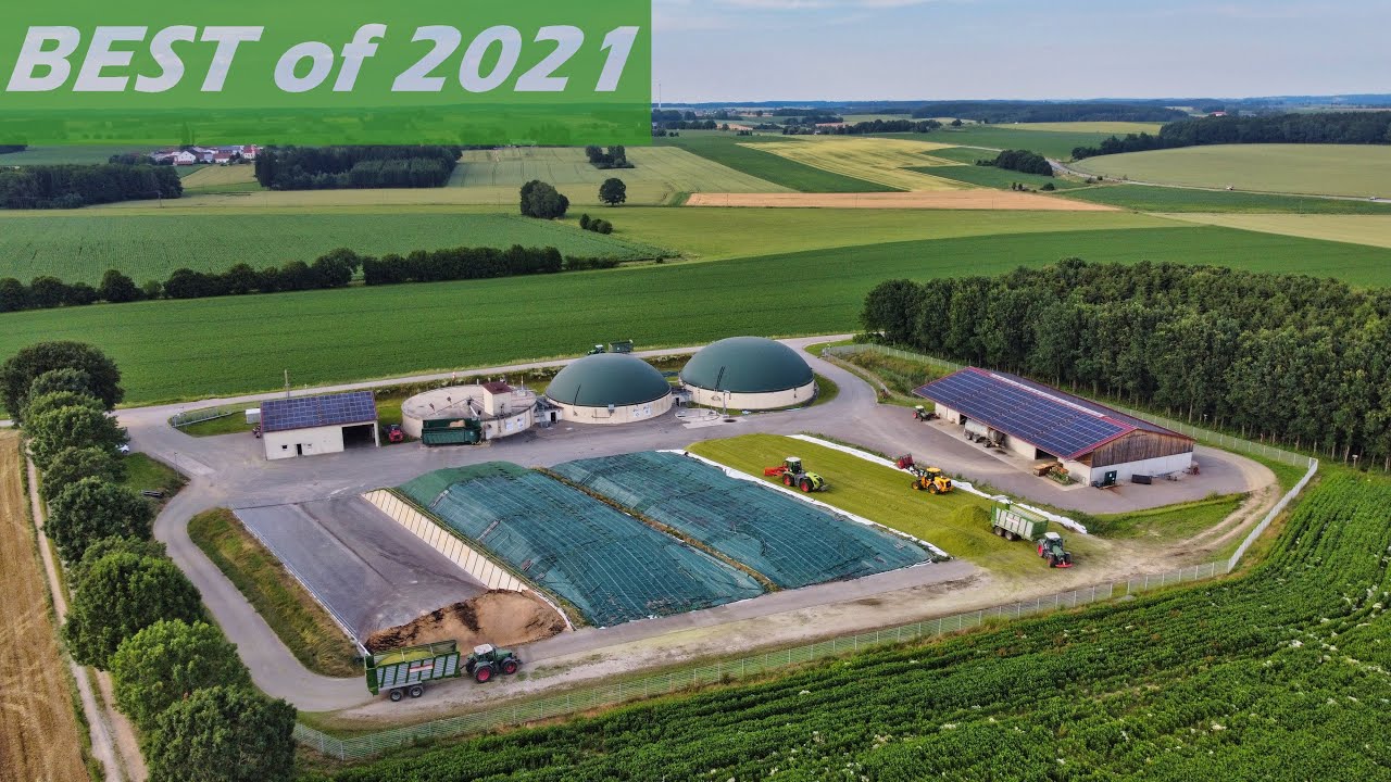 BEST OF 2021