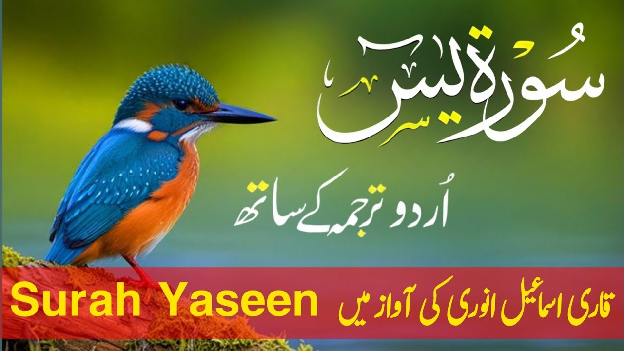 Surah Yaseen With Urdu Translation By Qari Shaikh Ismail Annori I Urdu And Hindi Tarjuma Episode 83