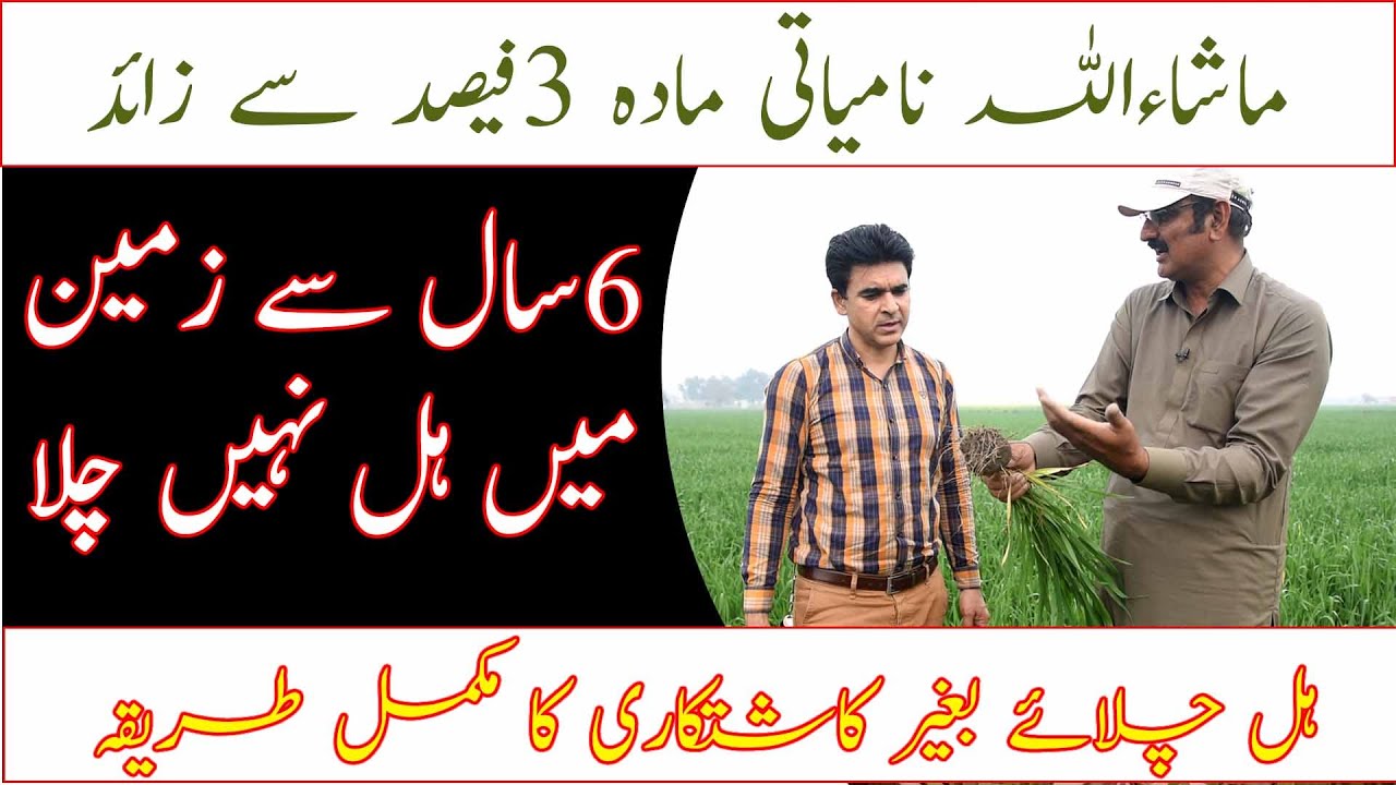 Zero tillage farming in Pakistan|How to do farming without ploughing| Regenerative Agriculture