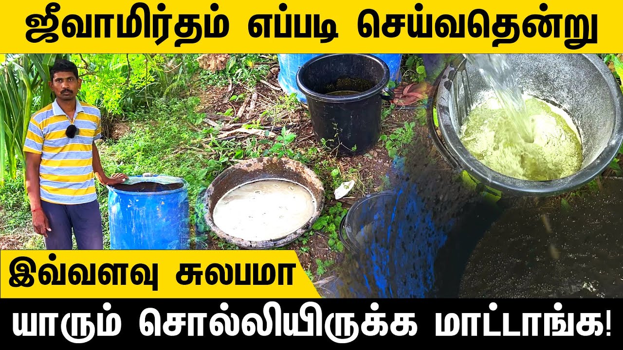 ஜீவாமிர்தம் எப்படி செய்வதென்று, இவ்வளவு சுலபமா யாரும் சொல்லியிருக்க மாட்டாங்க! | Jeevamirtham