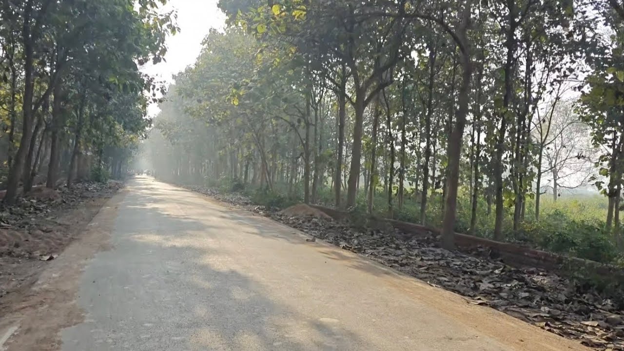 Long Drive Pe Chal | #roadtrip #shortsvideo #nature #longdrive #status #shorts #4k  #relaxing 