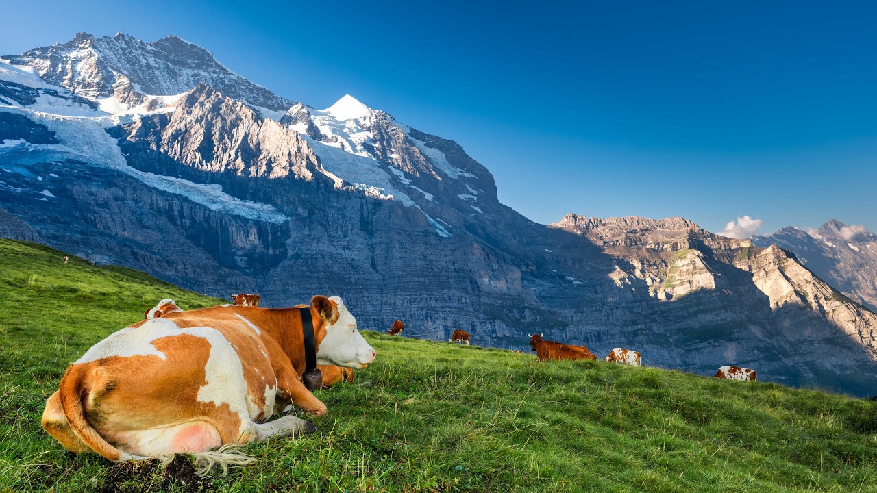 Easy Hikes in the swiss alps Bernese Oberland Jungfrau Region Switzerland
