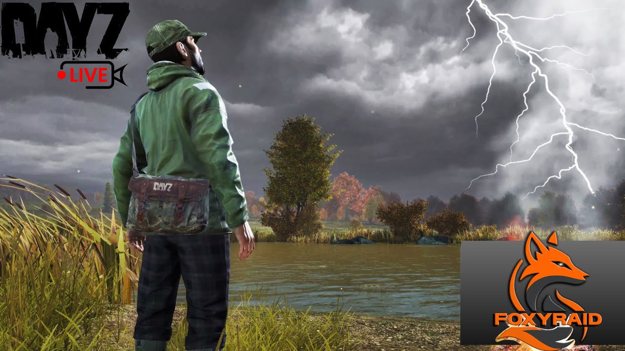 🦊019┃DayZ | Cesta k basebuildingu! 🛠️ Oficiální server Chernarus CZ/SK  #livestream #dayz