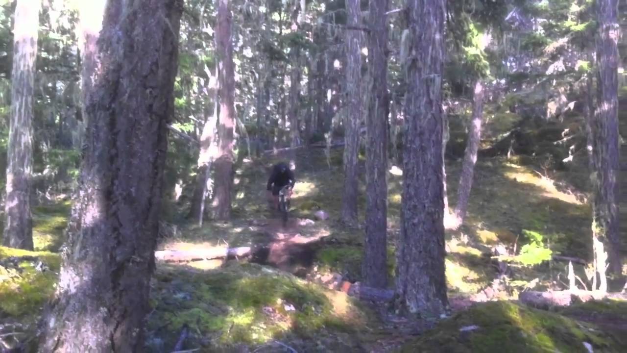 brad-pemberton-schralping.mov