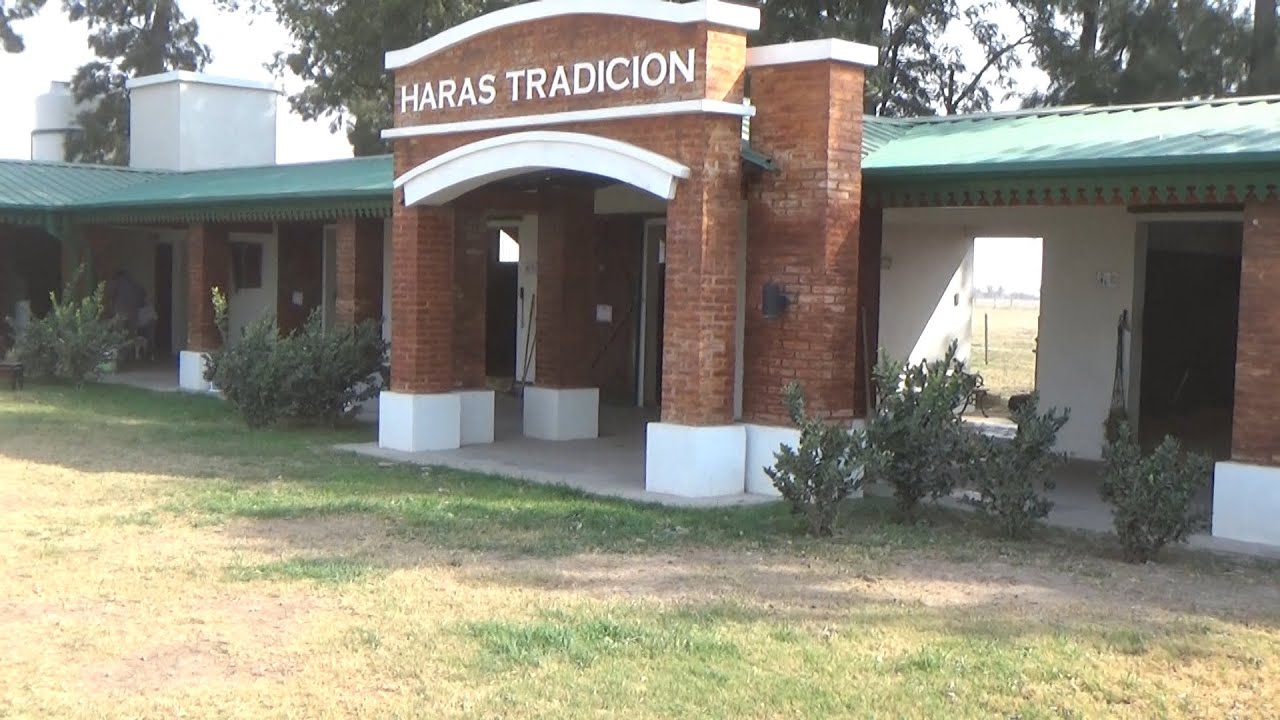Claudioturf - Haras Tradición S.P.C. - Arrufo, Santa Fe - Potrillos para Gran Remate 2024