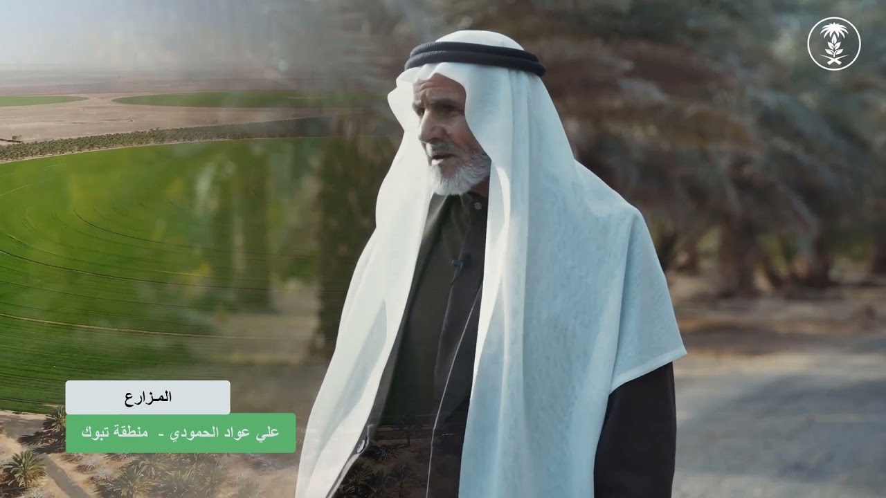 قصة نجاح | المزارع علي بن عواد الحمودي من منطقة تبوك