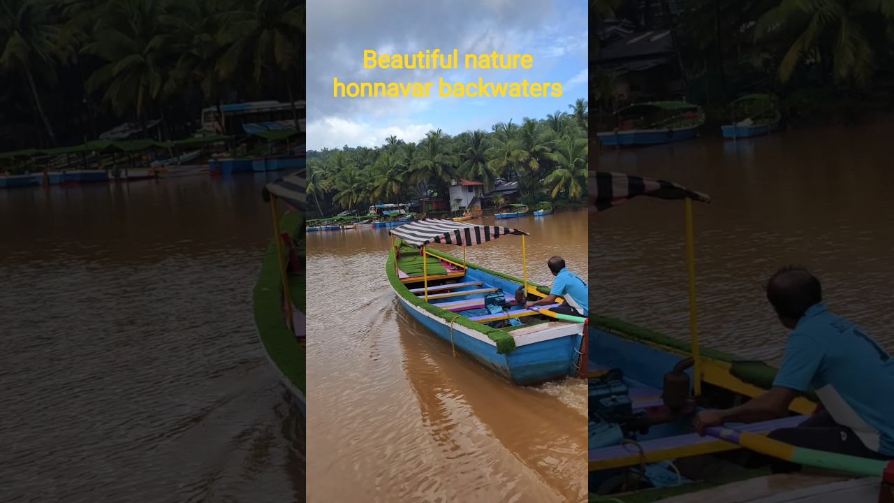 Beautiful nature honnavar backwaters #honnavara  #nature #beautiful #paruveeralifestyle #ytshorts