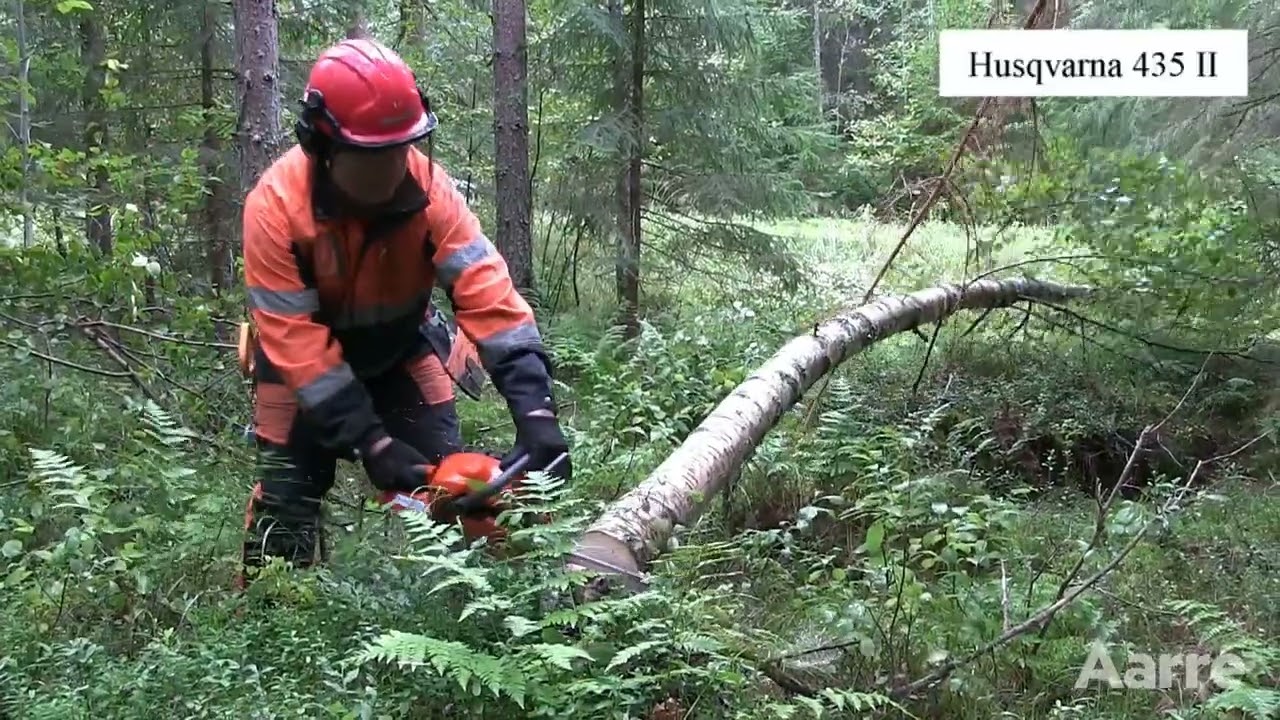 Aarre 2022 | Kokeilussa kymmenen edullista moottorisahaa