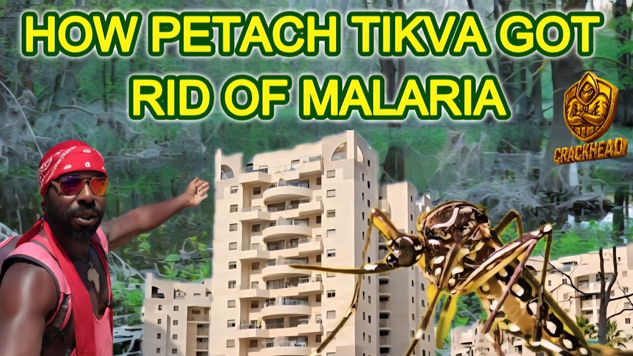 From Swamp to a City | How Petach Tikva defeated Malaria | 🇮🇱 