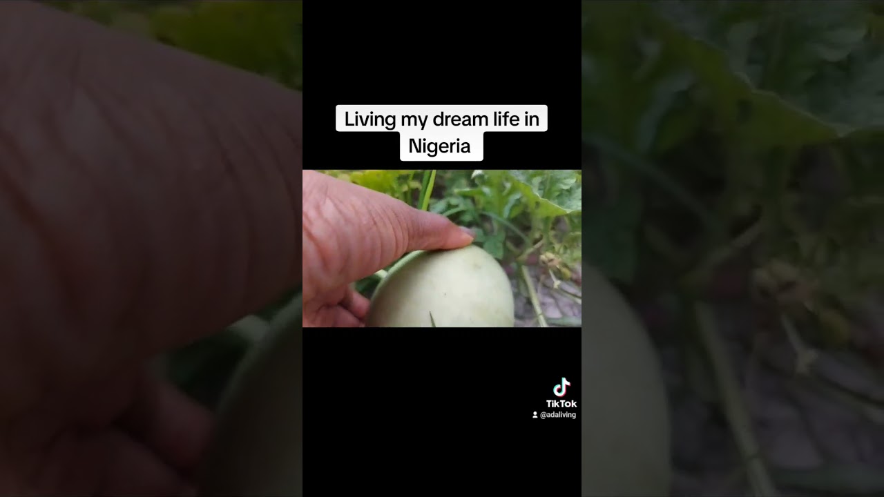 Who lives in Nigeria? 