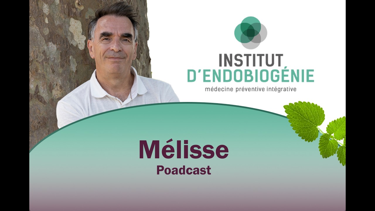 La Mélisse : L’Alliée Naturelle pour Apaiser Corps et Esprit