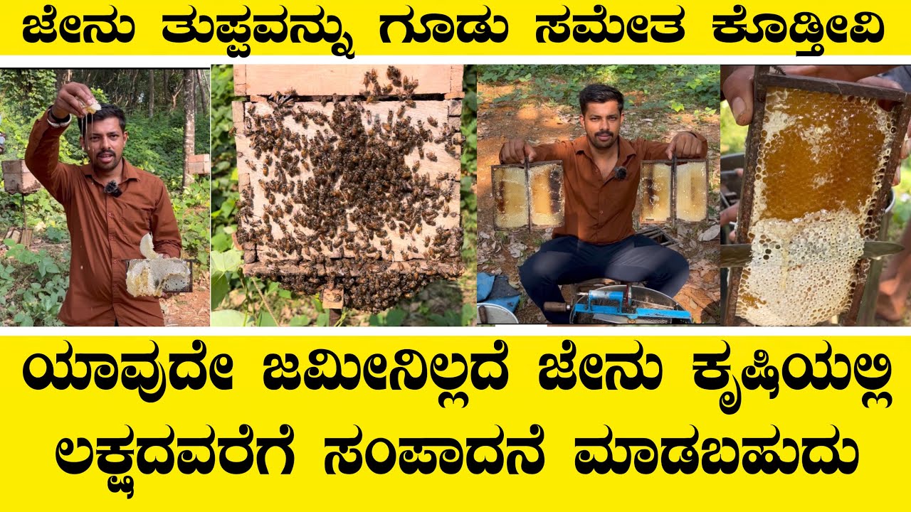 ಯಾವುದೇ ಜಮೀನಿಲ್ಲದೆ ಜೇನು ಕೃಷಿಯಲ್ಲಿ ಲಕ್ಷದವರೆಗೆ ಸಂಪಾದನೆ ಮಾಡಬಹುದು||Honey bee farming earnings