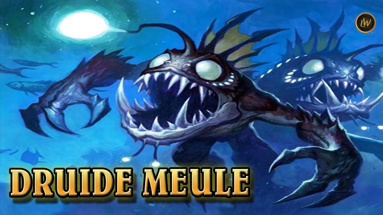 DRUIDE MEULE COMPETITIF - LEGENDE HEARTHSTONE
