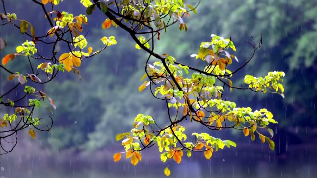 Relaxing water flow, rain , water splashing sound, meditational, soothing music. No Ads