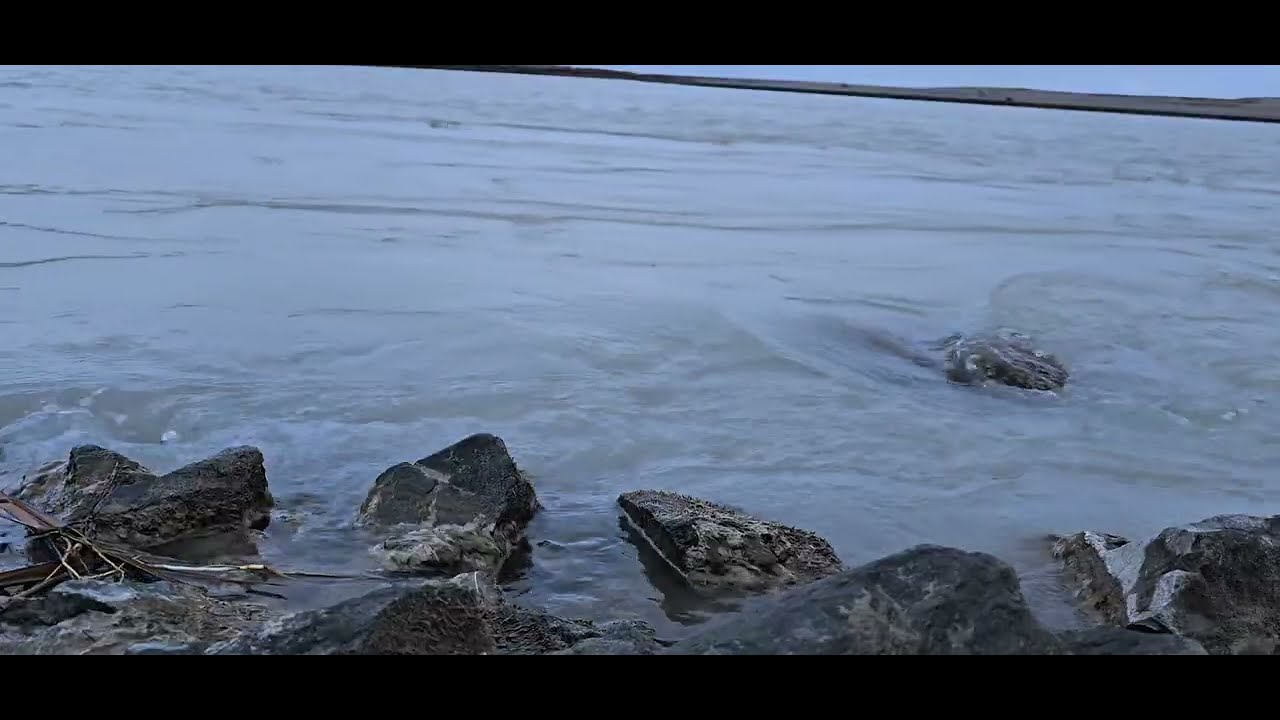 Асабни тинчлантирувчи видео Амударё звуки воды