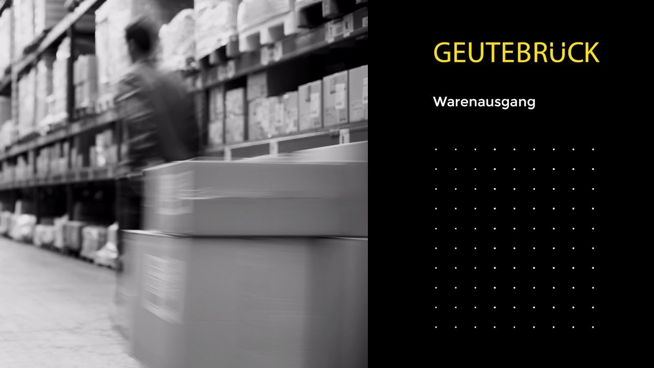 Geutebr&uuml;ck Visuelle Dokumentation 3 - Warenausgang | DE