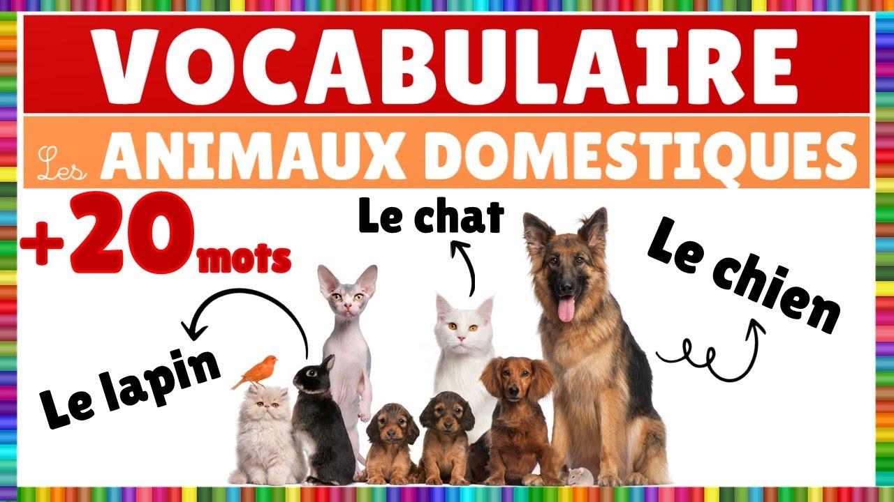 Vocabulaire : Les animaux domestiques || Fran&ccedil;ais